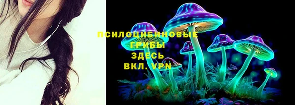 прущая мука Богданович