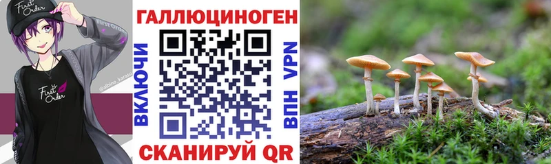 Псилоцибиновые грибы Cubensis  Купить  Кохма 