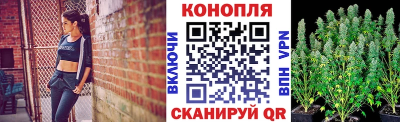 Купить  Кохма  Конопля план 